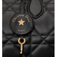 Сумка Dior