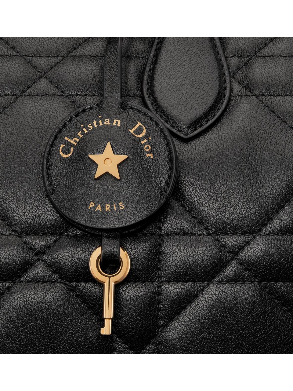 Сумка Dior