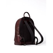 Рюкзак Etro