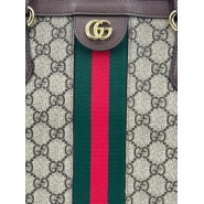 Сумка Gucci